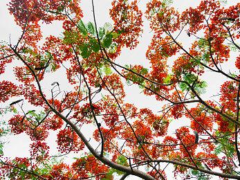 KK官方对战平台CS专区S2赛季开启！千元奖金等你来拿！